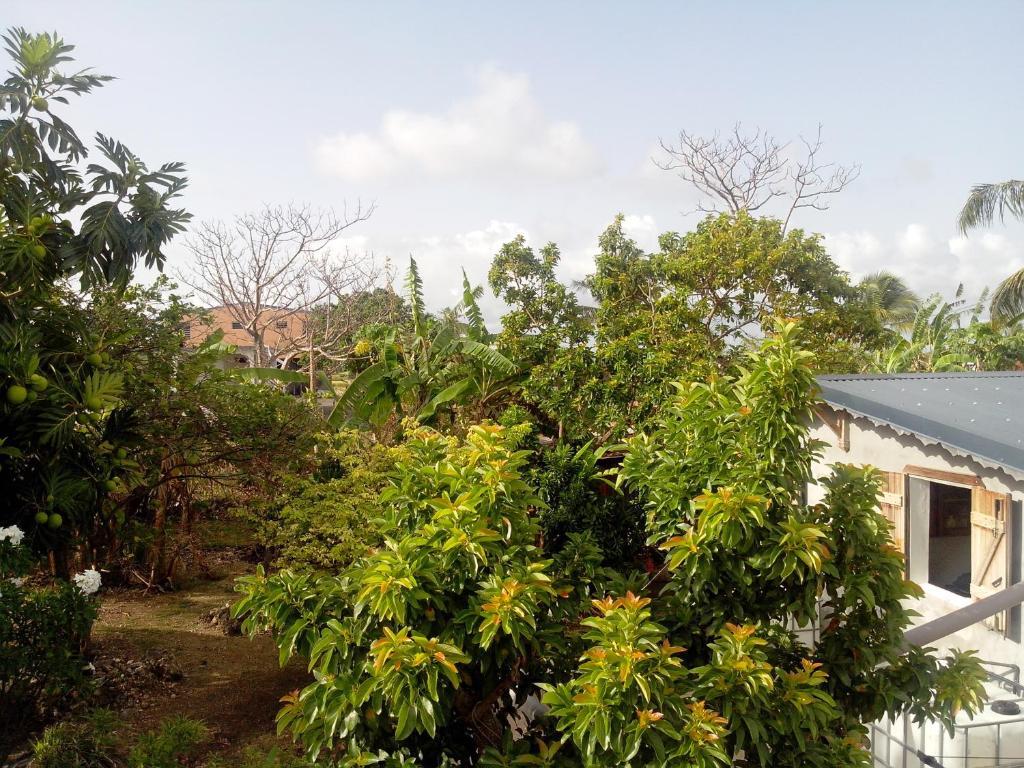 Maison Des Alizes Gros Cap Habitación foto